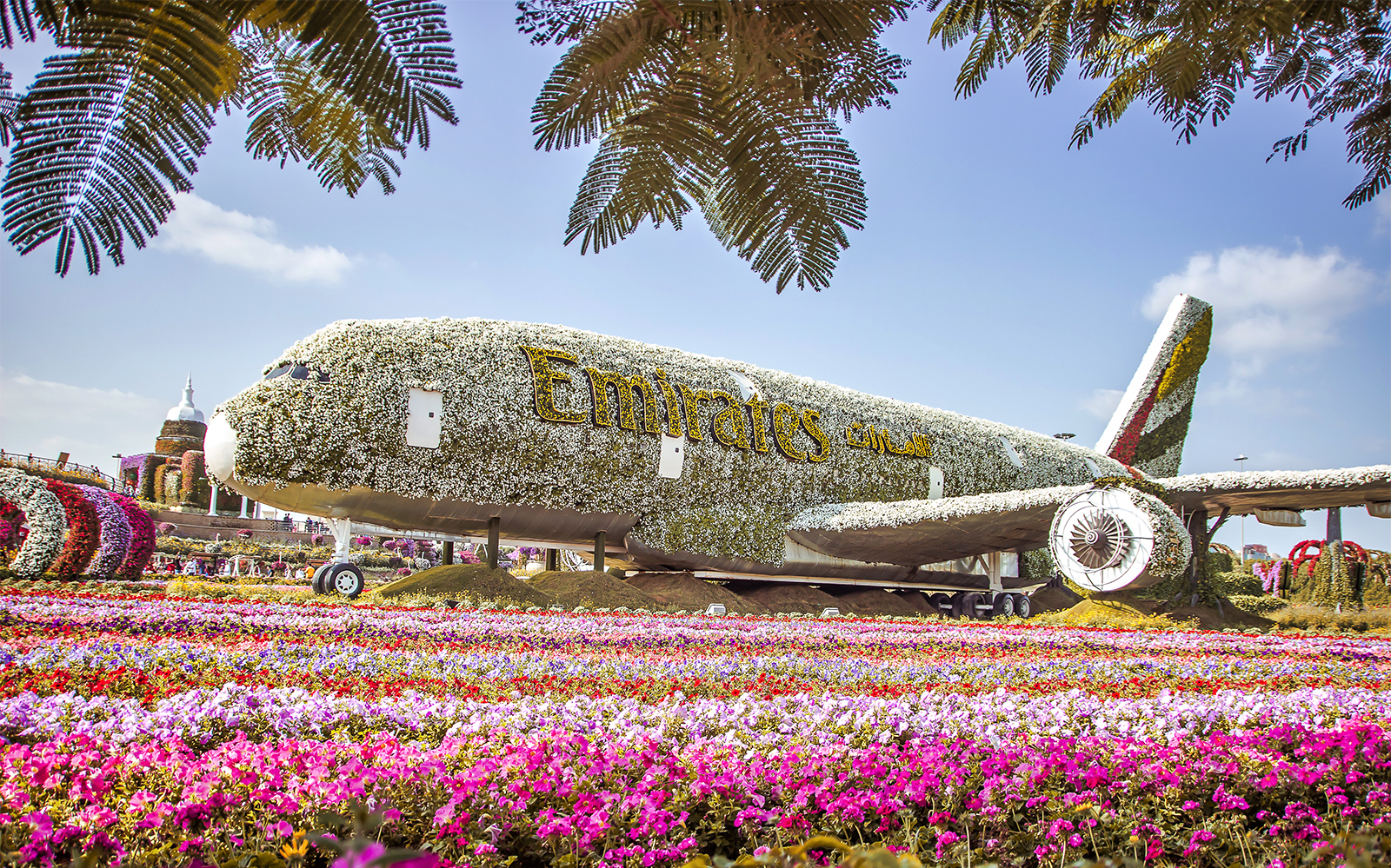 Dubai travel experience