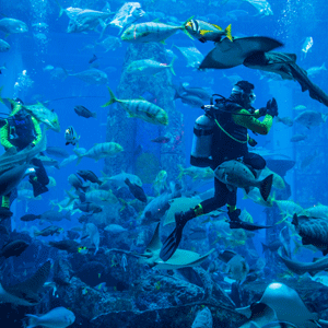 Aquaria KLCC Kuala Lumpur family attraction