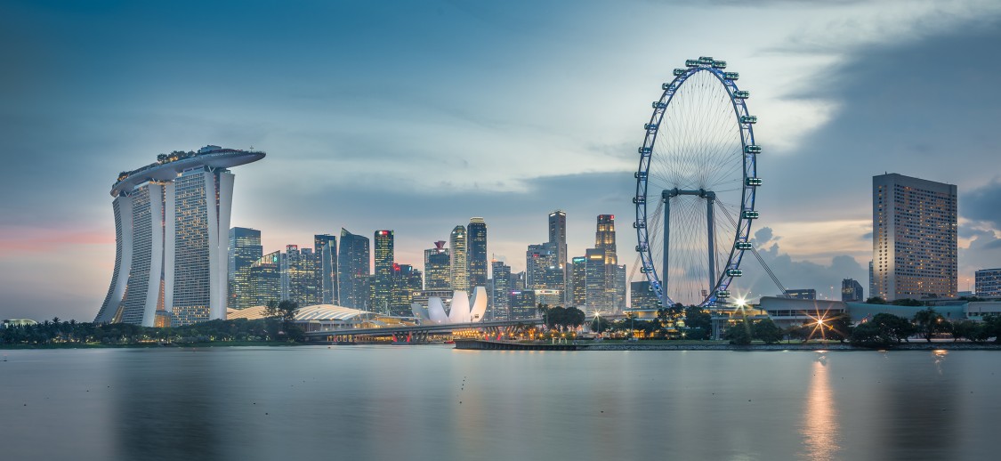 Gardens by the Bay Supertree Grove Singapore