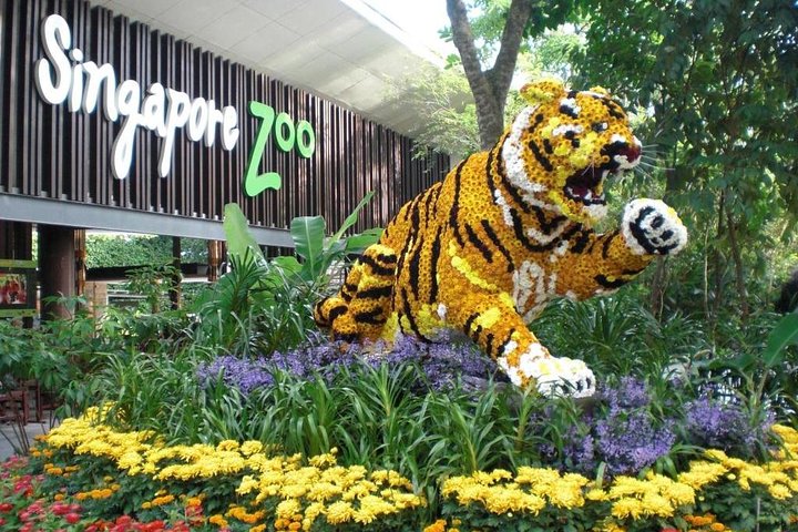 Singapore Zoo family wildlife attraction