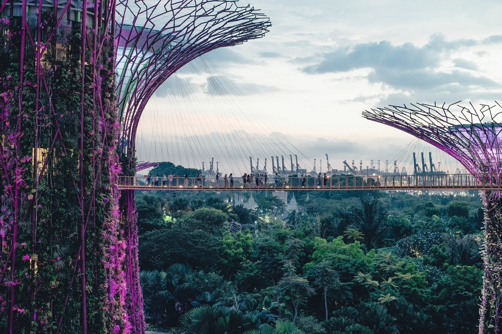 Supertree Grove at Gardens by the Bay, Singapore